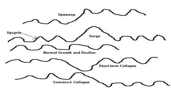 types of sweeps1